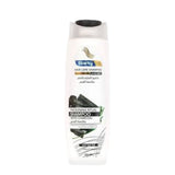 Starky Hair Care Shampoo