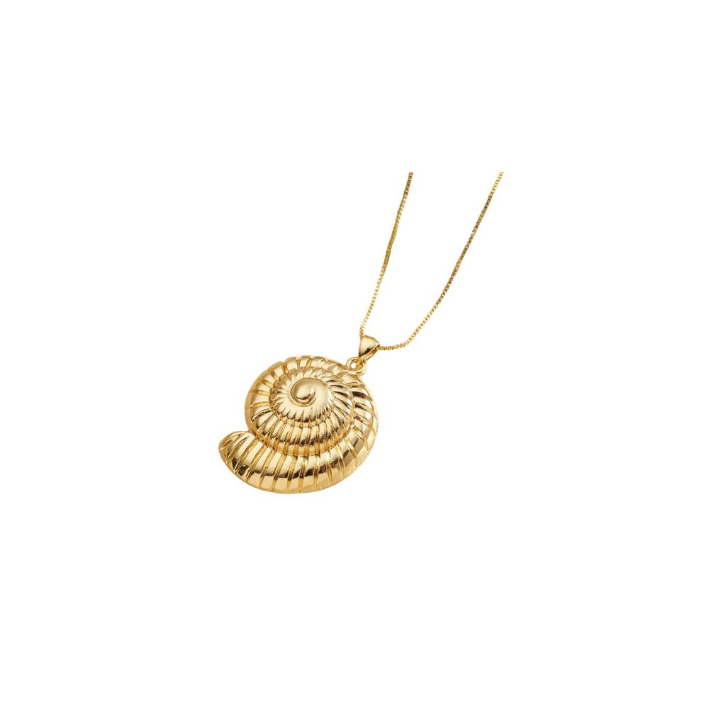 316 Stainless Steel Deep Shell Necklace