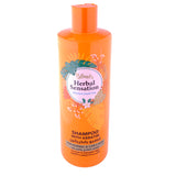 Blends Herbal Sensation Shampoo