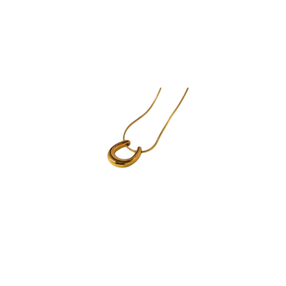 316 Stainless Steel The Horseshoe Necklace