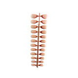 Forever Waves Press On Nails 24-Pcs